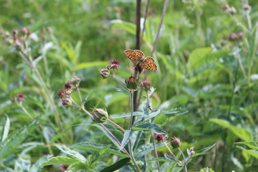 Similar image 21442548