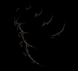 Similar image 21436726