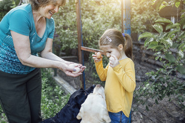 Similar image 21463913