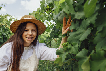 Similar image 21463927