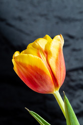 Similar image 21443823