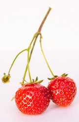 Similar image 21453969