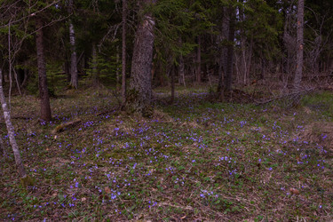 Similar image 21449781