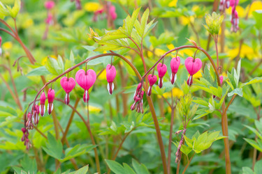 Similar image 21453971