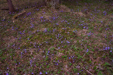 Similar image 21449784