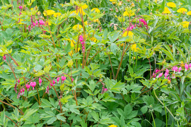 Similar image 21453972