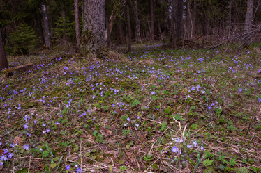 Similar image 21449785