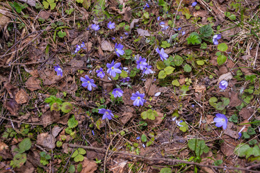 Similar image 21449786