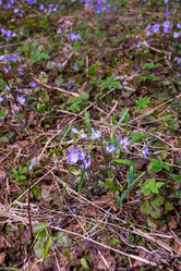 Similar image 21449787