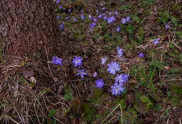 Similar image 21449789