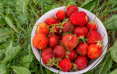 Similar image 21453973