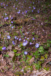 Similar image 21449793