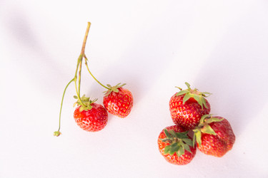 Similar image 21453978