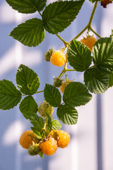 Similar image 21453992