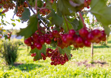 Similar image 21453994