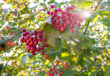 Similar image 21453999