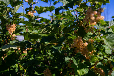 Similar image 21451957