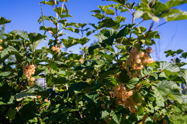 Similar image 21451958