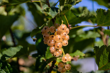 Similar image 21451959