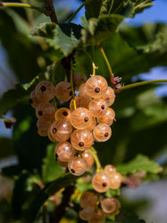 Similar image 21451961