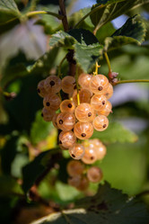 Similar image 21451962