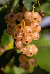 Similar image 21451963