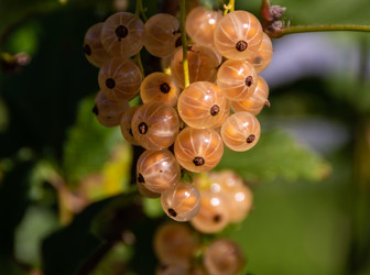 Similar image 21451964