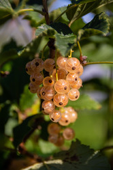 Similar image 21451965