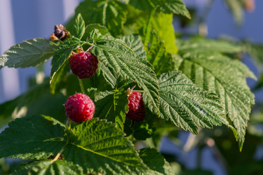 Similar image 21454002