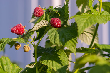 Similar image 21454005