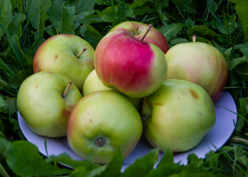 Similar image 21454007