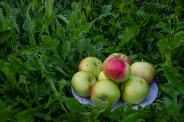 Similar image 21454008