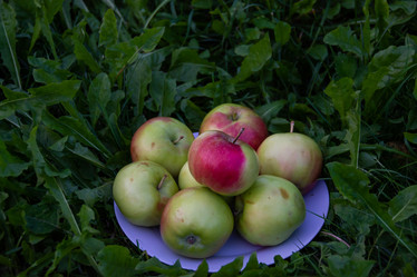 Similar image 21454009