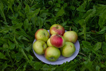 Similar image 21454010