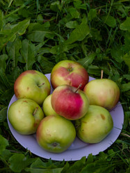 Similar image 21454011