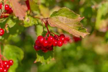 Similar image 21454012