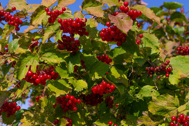 Similar image 21454013