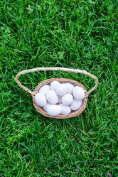 Similar image 21454014