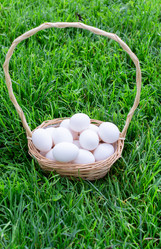 Similar image 21454015