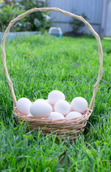 Similar image 21454016