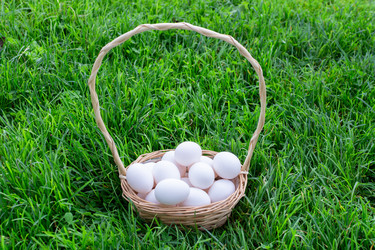 Similar image 21454017