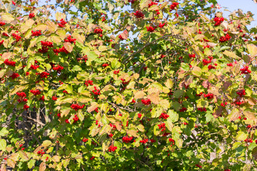 Similar image 21454018