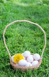 Similar image 21454019