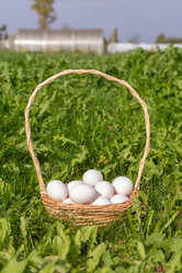 Similar image 21454020