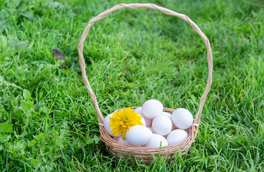 Similar image 21454021