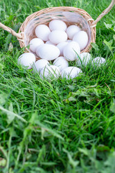 Similar image 21454022