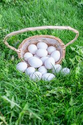 Similar image 21454023