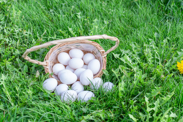 Similar image 21454026