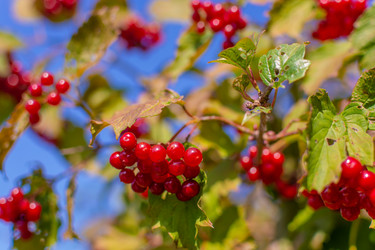 Similar image 21454027