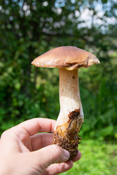 Similar image 21454029